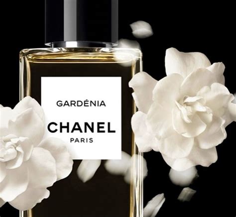 where can i buy chanel gardenia perfume|buy chanel gardenia perfume online.